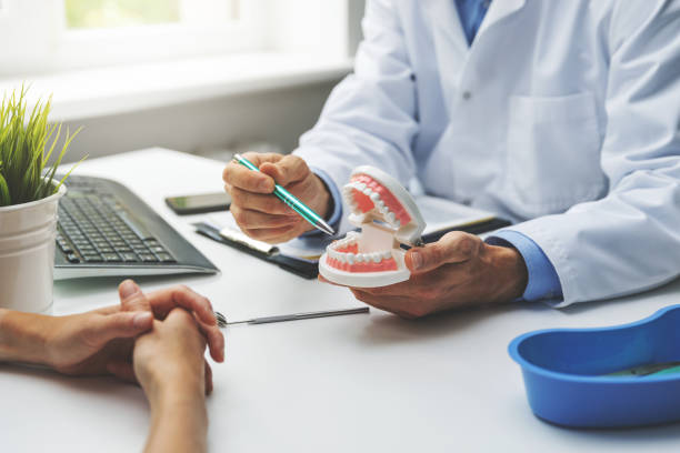 Trusted Schaumburg, IL Holistic Dental Care Services Experts
